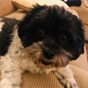 Meet your Posher, Denise